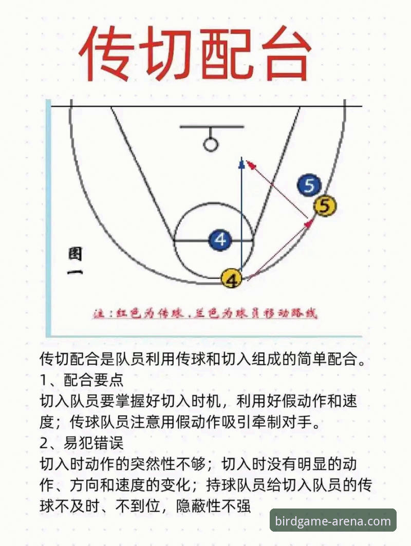 揭秘小鸟体育竞猜攻略：技术流玩家必须知道的五大核心策略